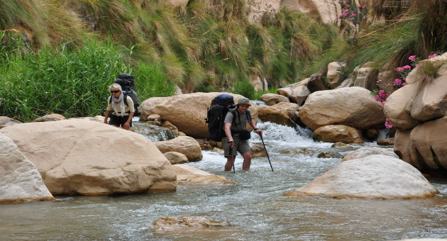 Destinations  Wadi Al-Hasa